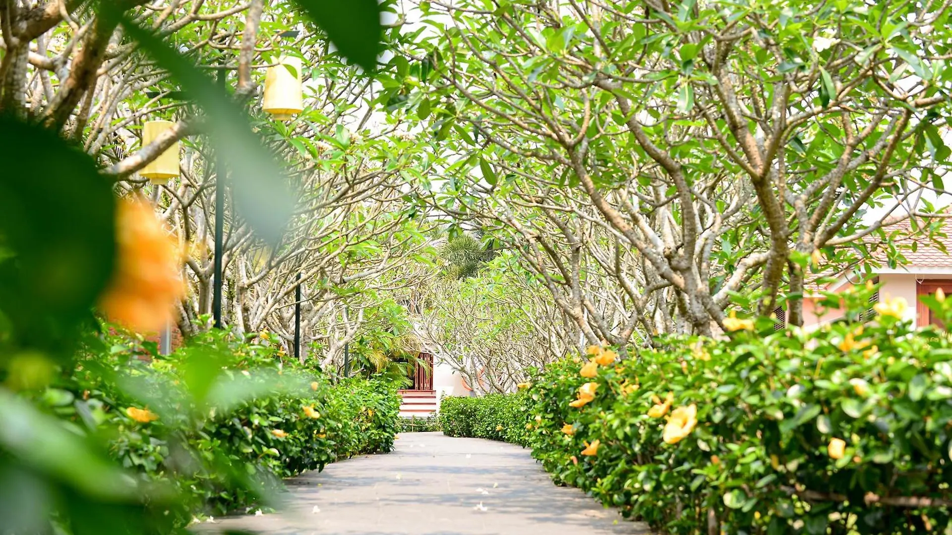 Silk Sense Hoi An River Resort - A Sustainable Destination 5*,  Vietnam